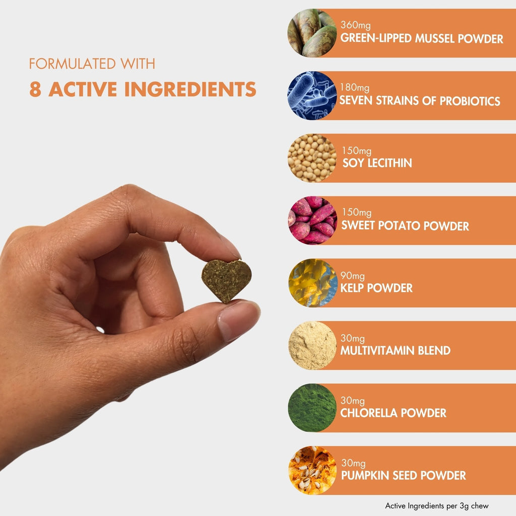 Dog Probiotic Chew product image 2