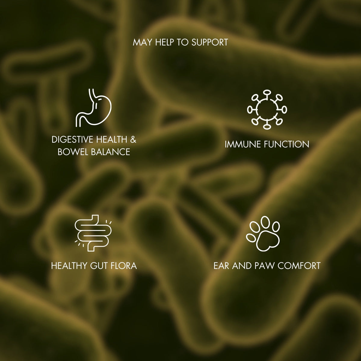Dog Probiotic Chew product image 3