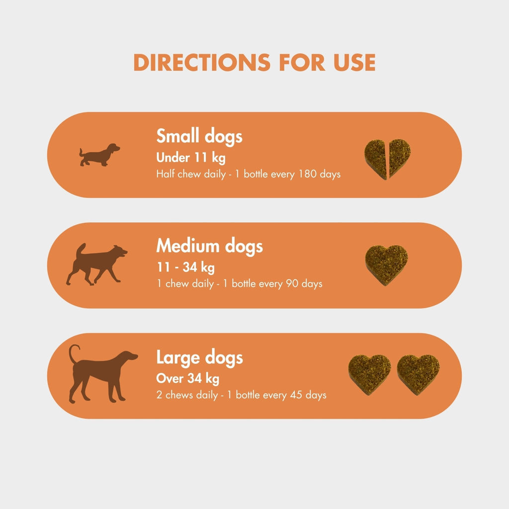 Dog Probiotic Chew product image 4