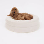 Round Orthopaedic Dog Bed product image 2