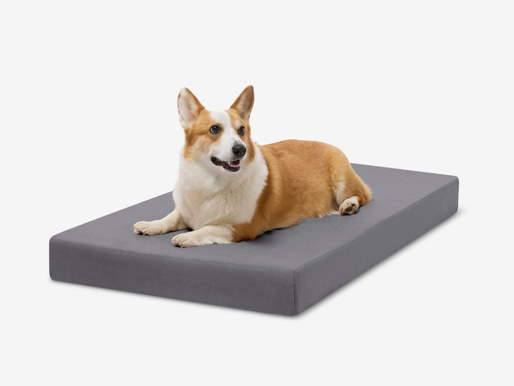 Orthopedic Dog Crate Bed product image 1