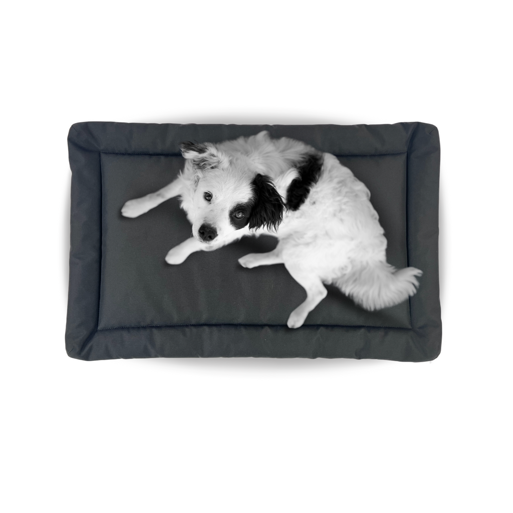 Dog Crate Pad product image 1
