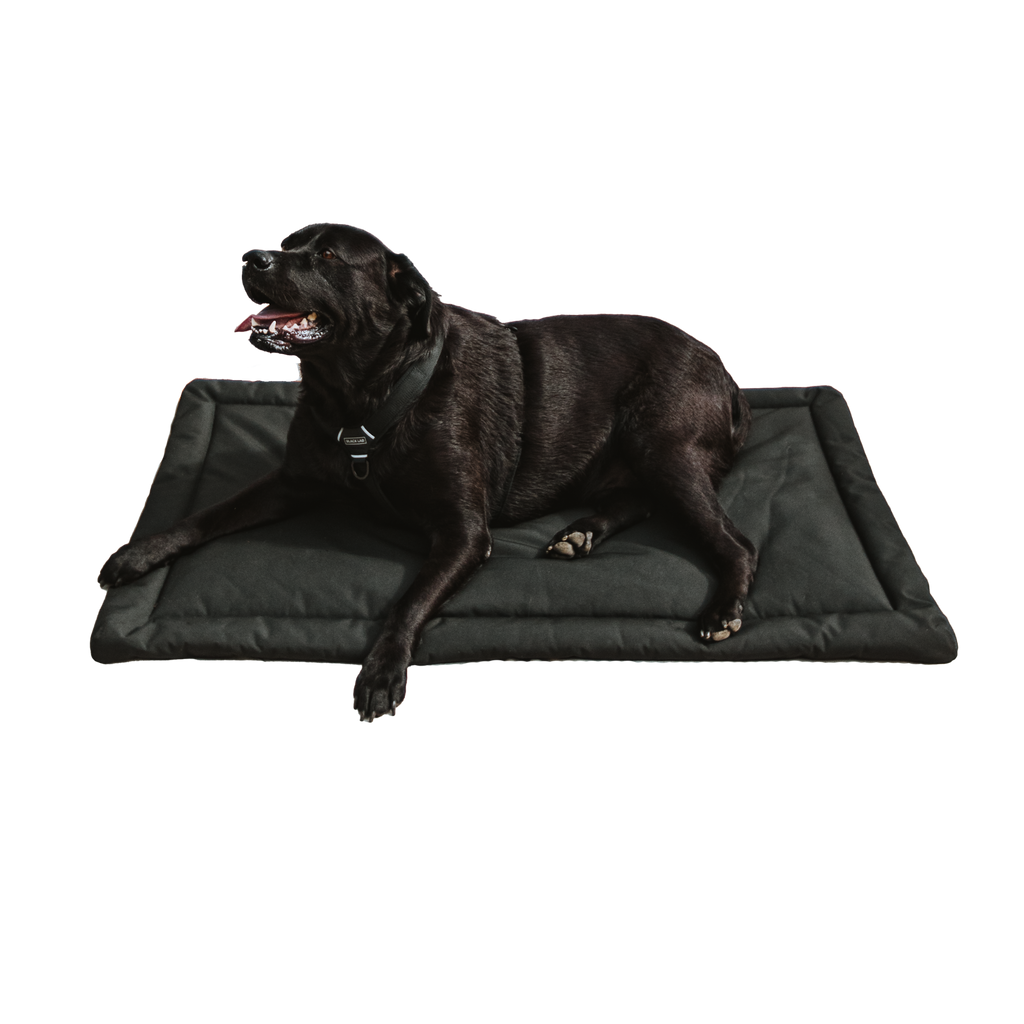 Dog Crate Pad product image 5