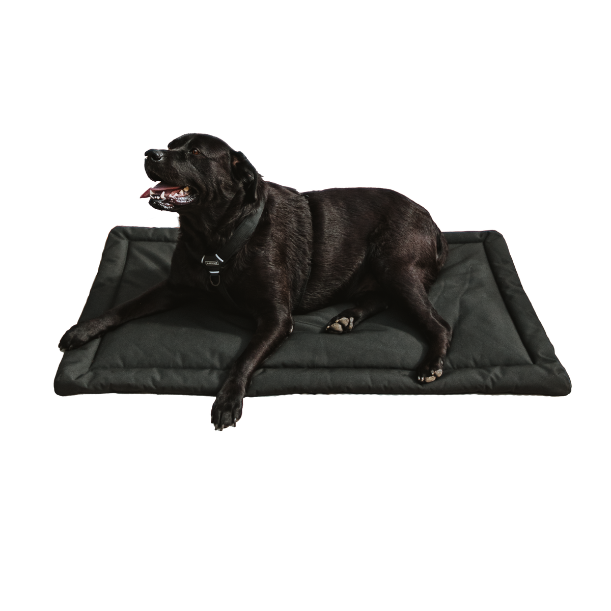 Dog Crate Pad product image 5