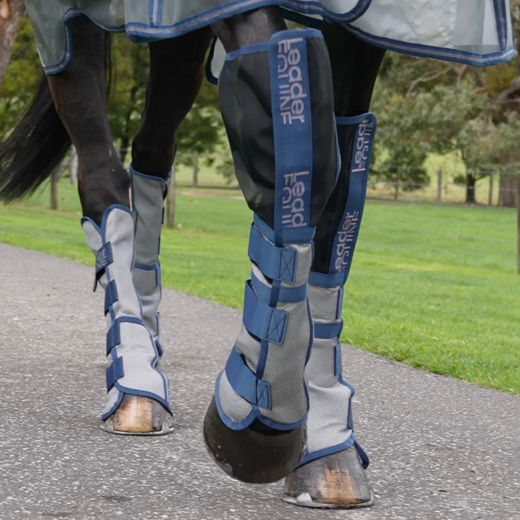 Horse Fly Boot Set product image 2