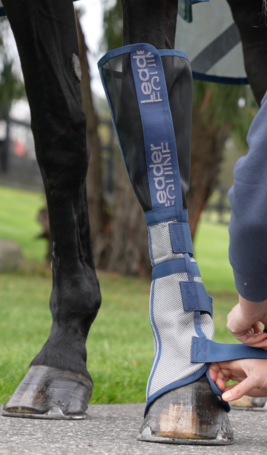 Horse Fly Boot Set product image 5
