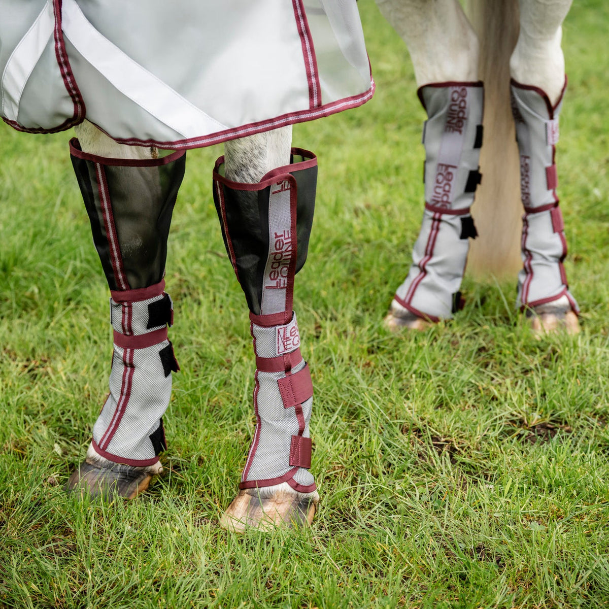 Horse Fly Boot Set product image 12
