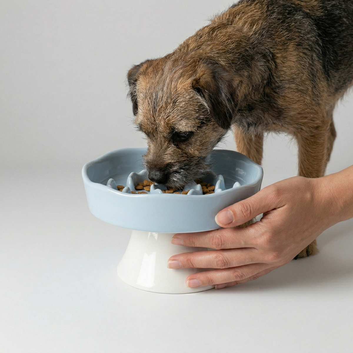 Slow Feeder Bowl product image 13