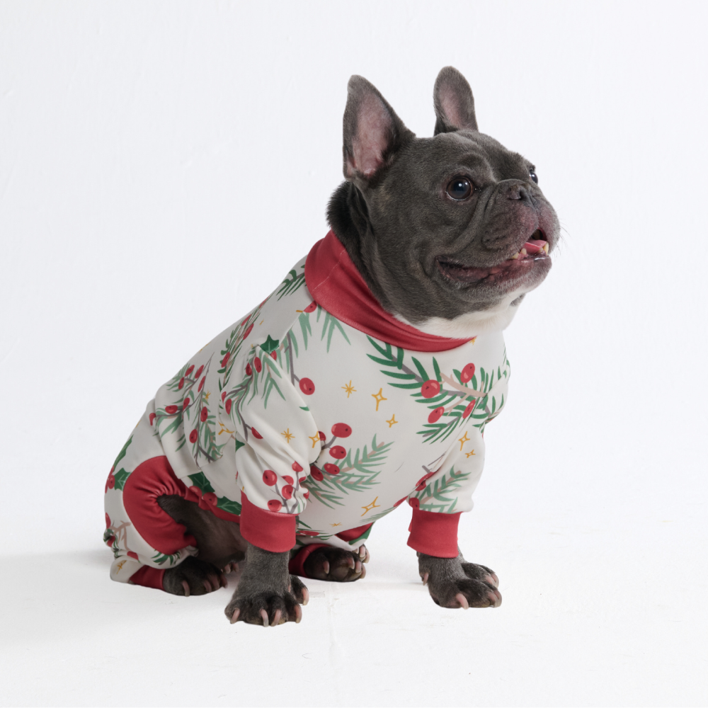 Mistletoe Christmas Dog Pajamas product image 8