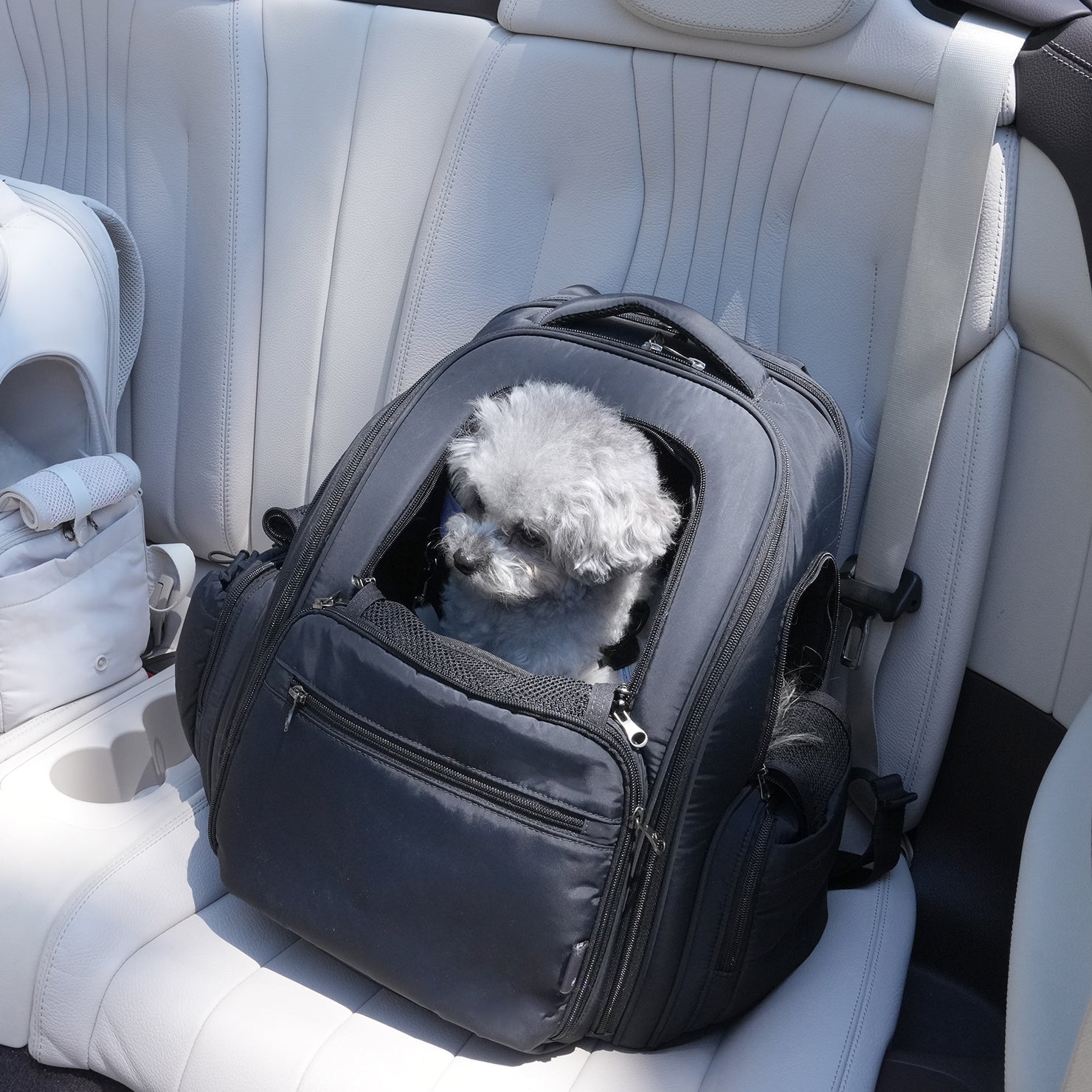 Dog Carrier Backpack product image 3