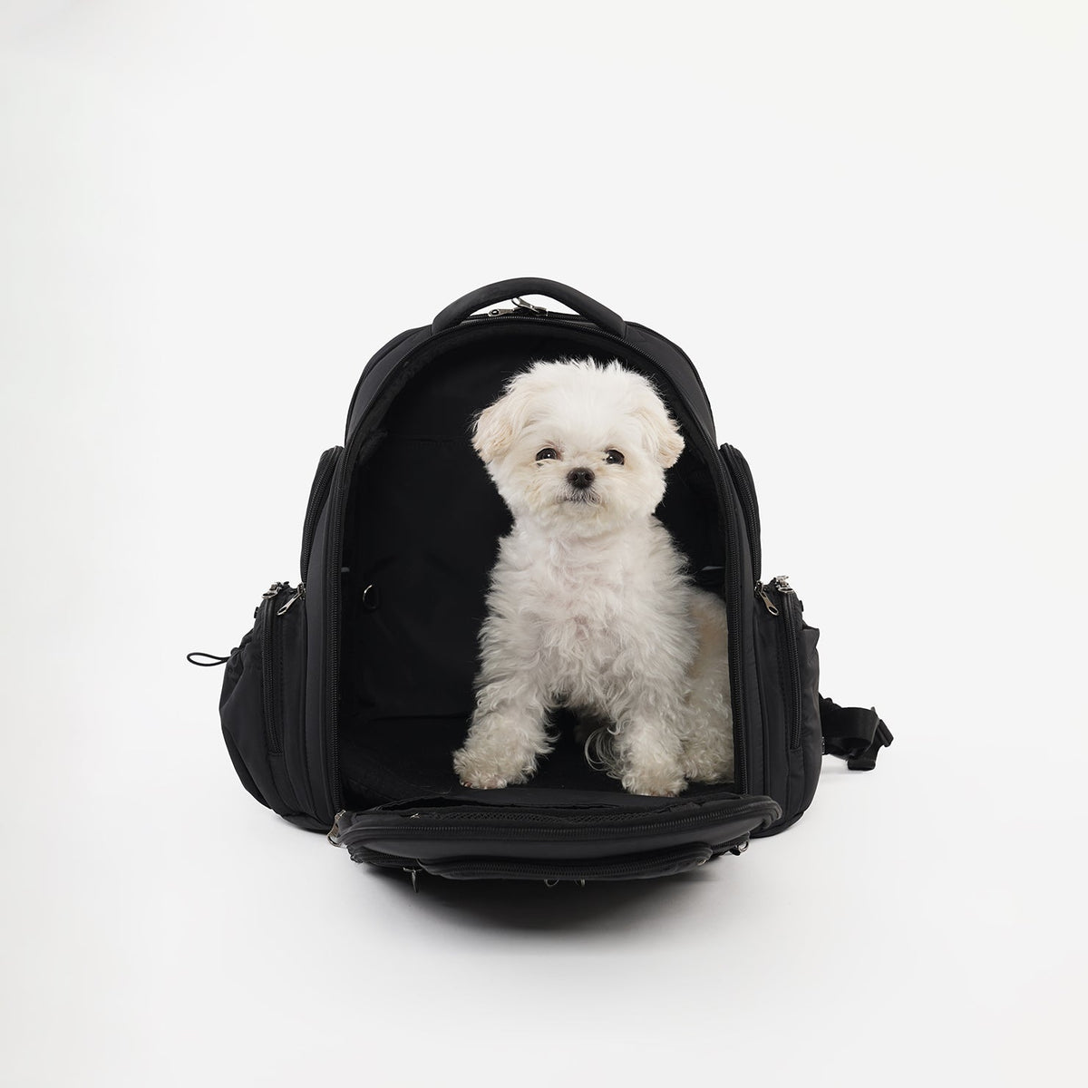 Dog Carrier Backpack product image 16