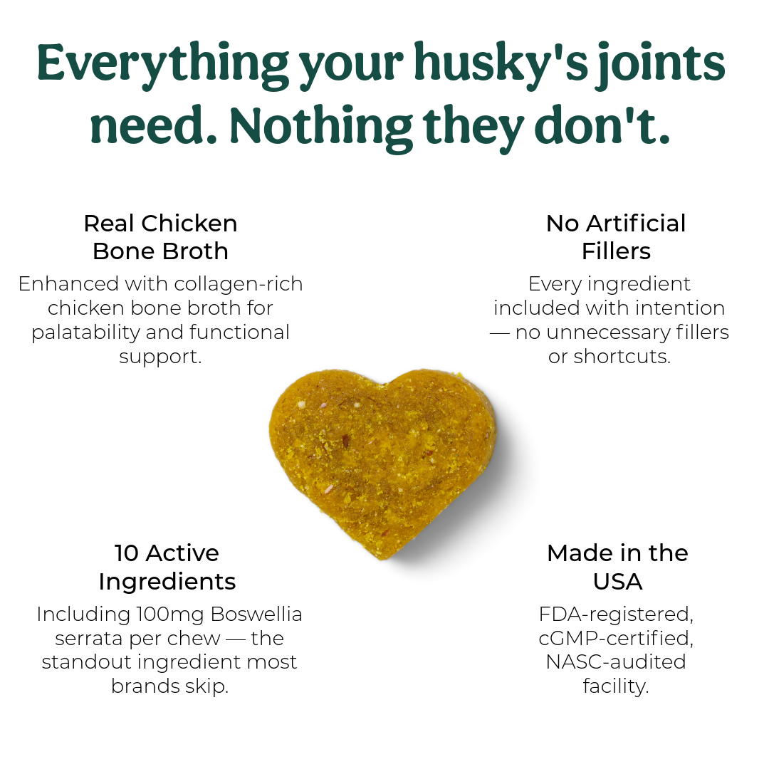 Dog Joint Supplement product image 2
