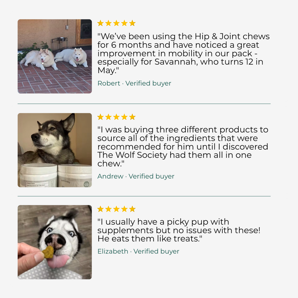 Dog Joint Supplement product image 3