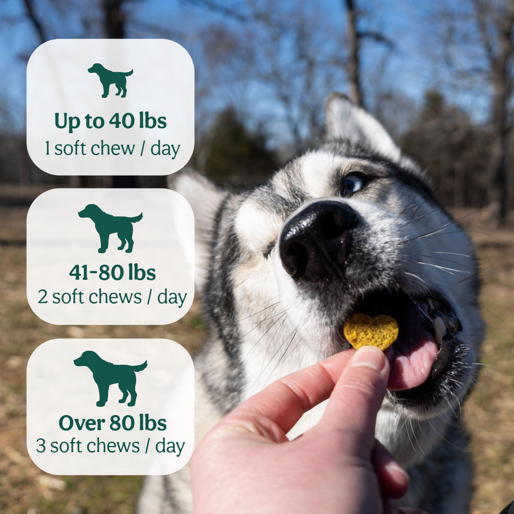 Dog Joint Supplement product image 5