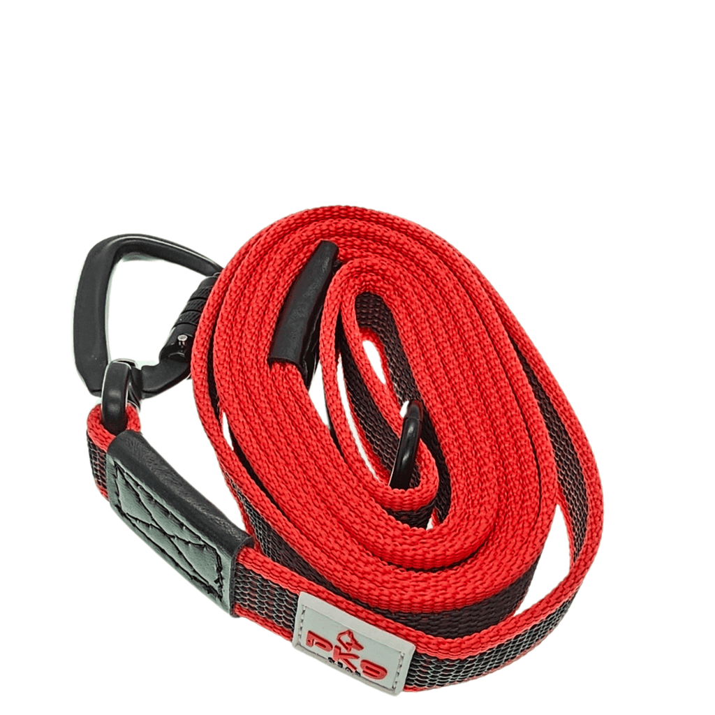 Dog Leash product image 1