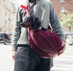 Packable Dog Carrier product image 2