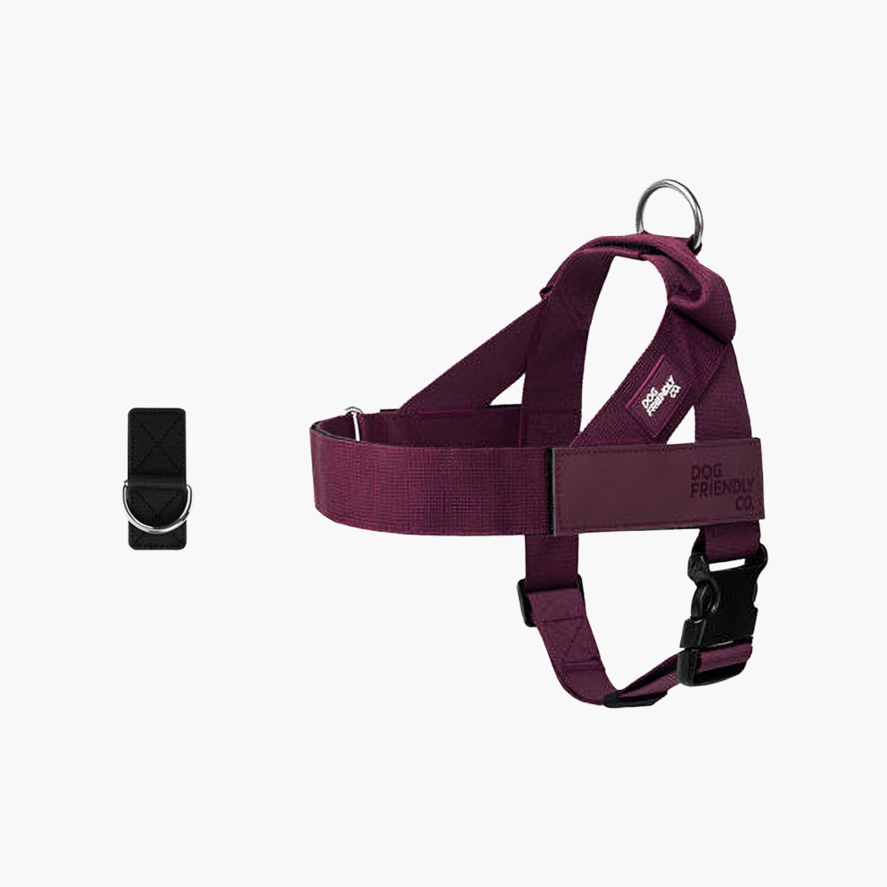 Adjustable Grab-Handle Dog Harness product image 72