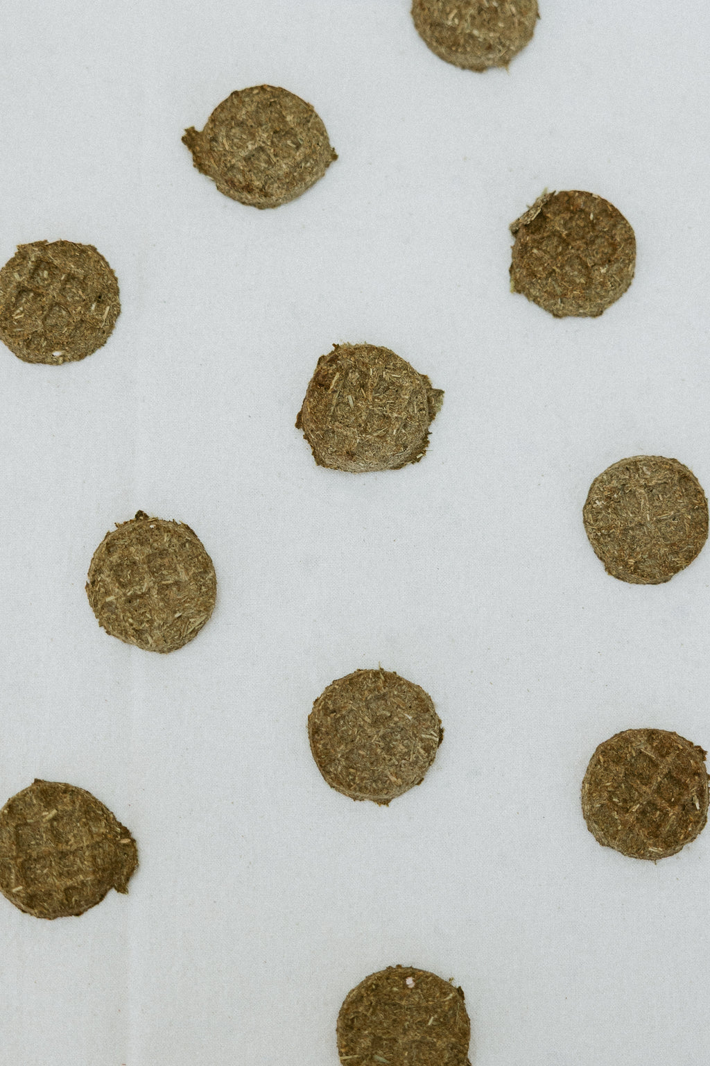 Rabbit Waffle Treats product image 1