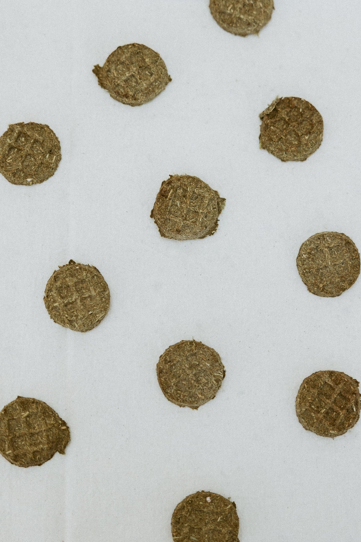 Rabbit Waffle Treats product image 1