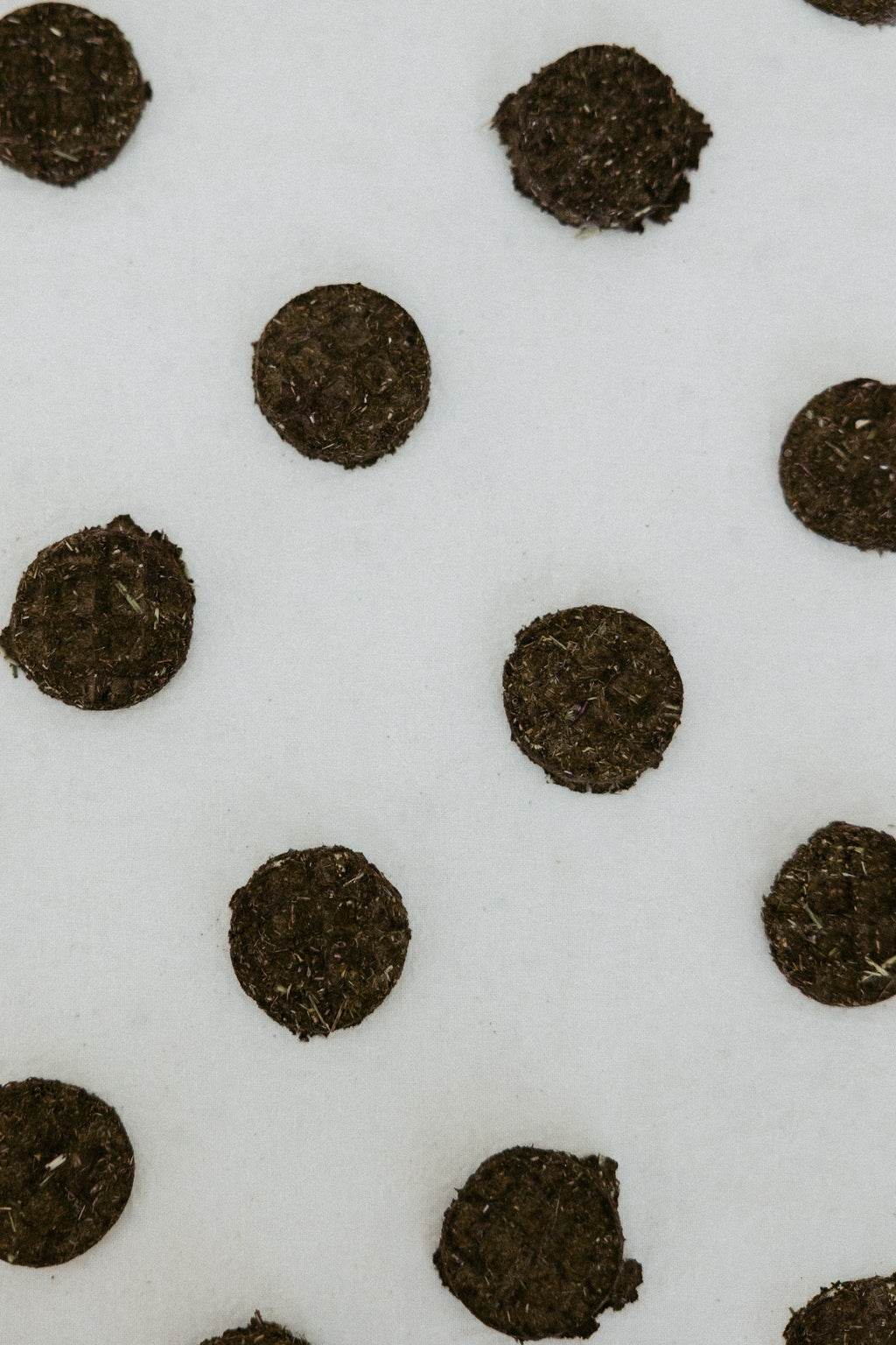 Rabbit Waffle Treats product image 4