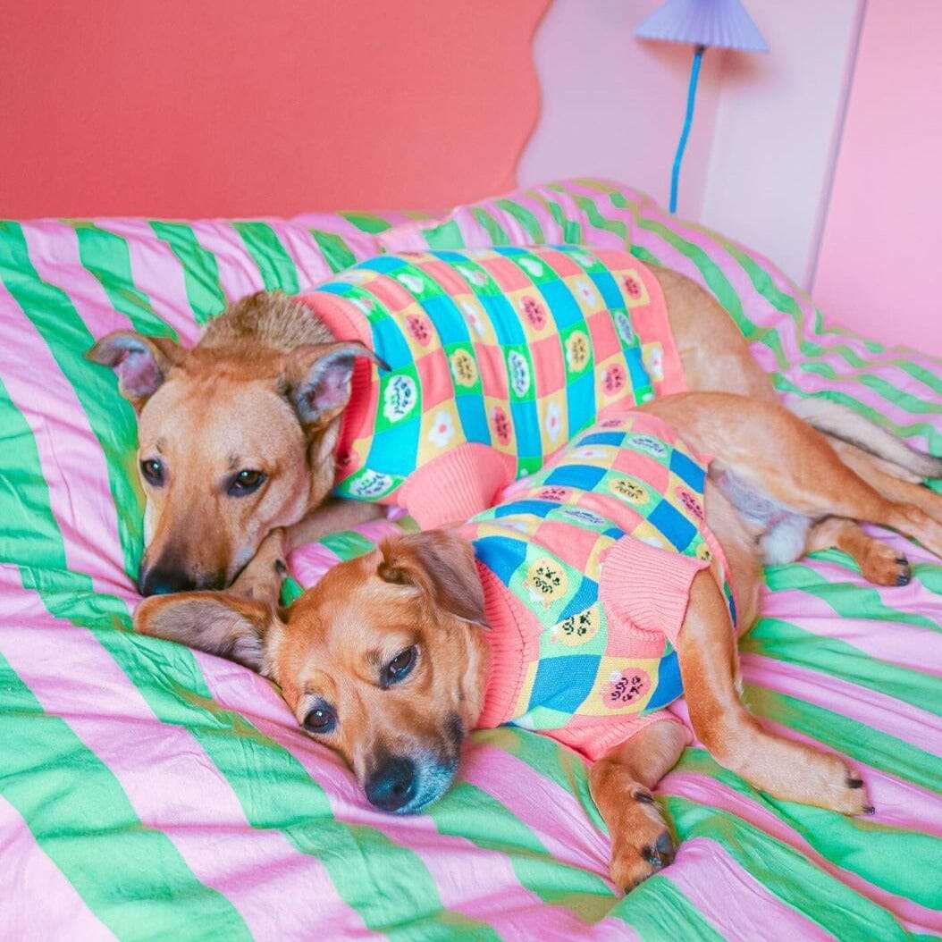 Dog Sweater product image 1