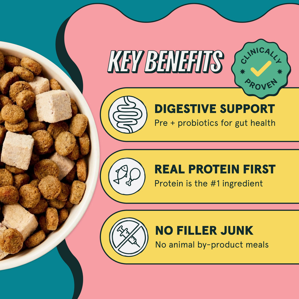Chicken Dog Food product image 4