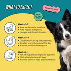 Chicken Dog Food product image 6