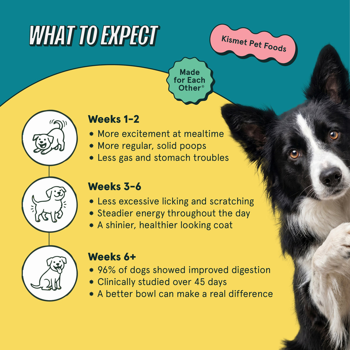 Chicken Dog Food product image 6