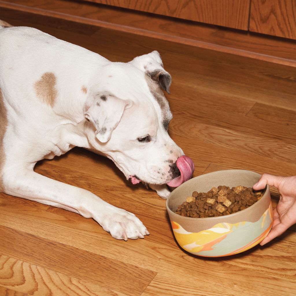 Chicken Dog Food product image 7