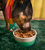 Dog Food product image 7