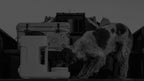 Automatic Pet Waterer product image 2