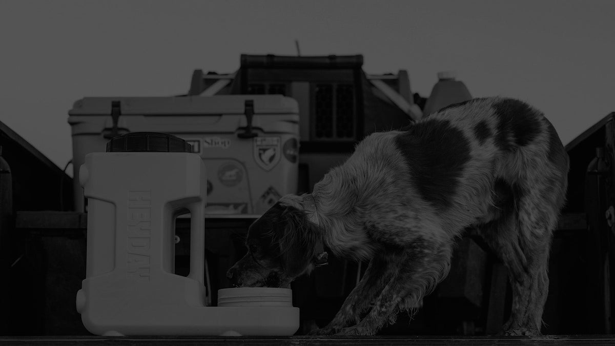 Automatic Pet Waterer product image 2