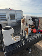 Automatic Pet Waterer product image 6