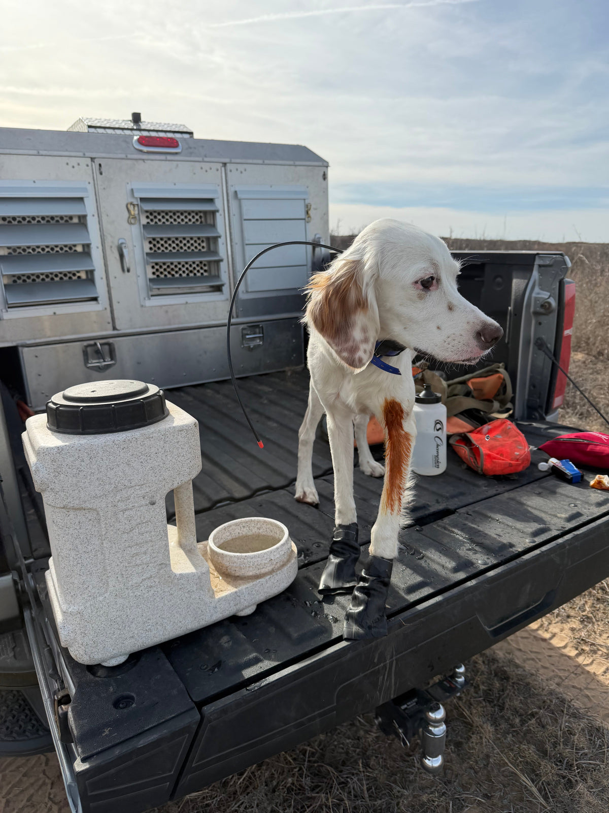 Automatic Pet Waterer product image 6