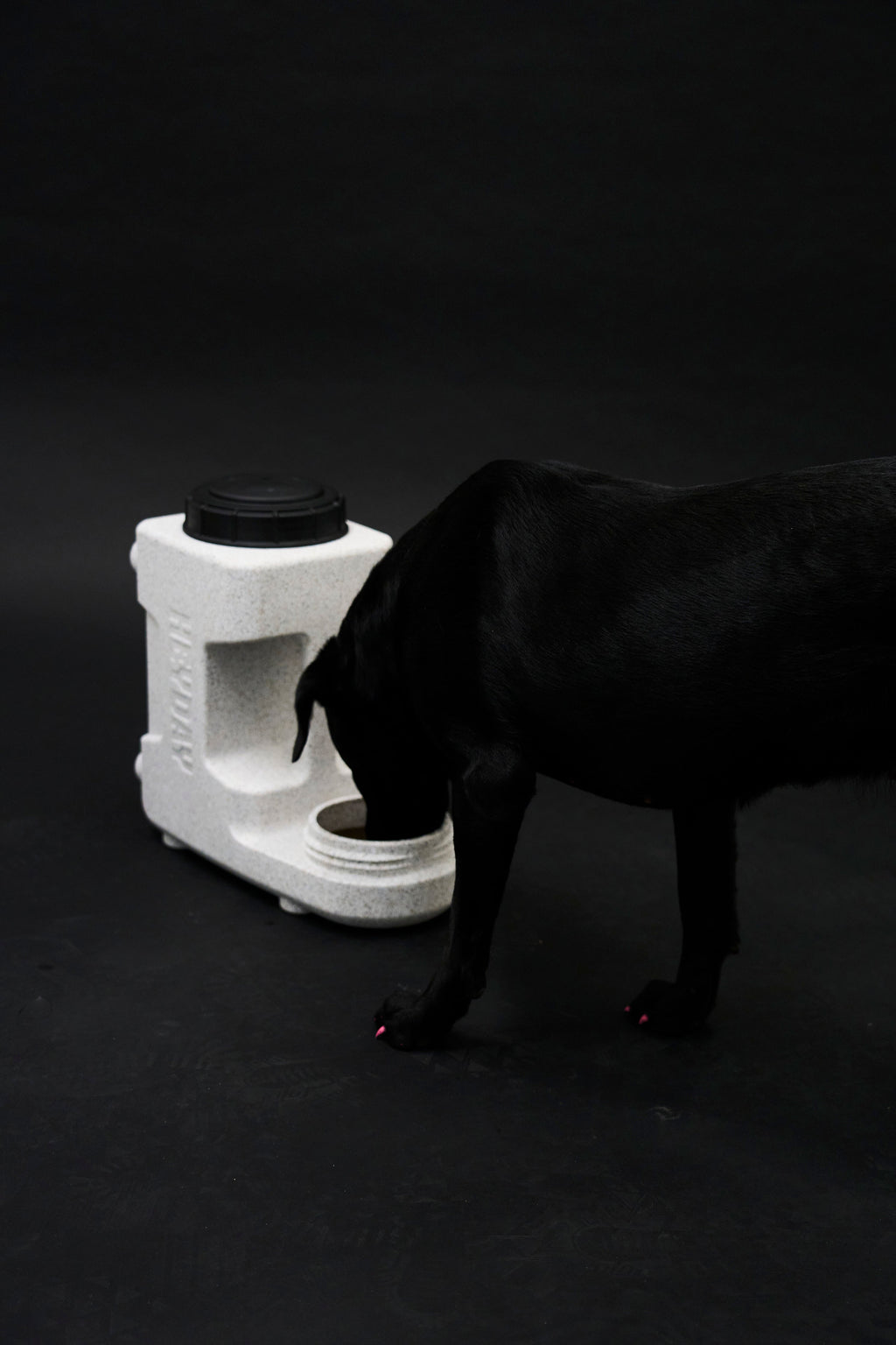 Automatic Pet Waterer product image 10