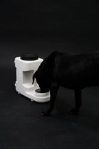 Automatic Pet Waterer product image 10