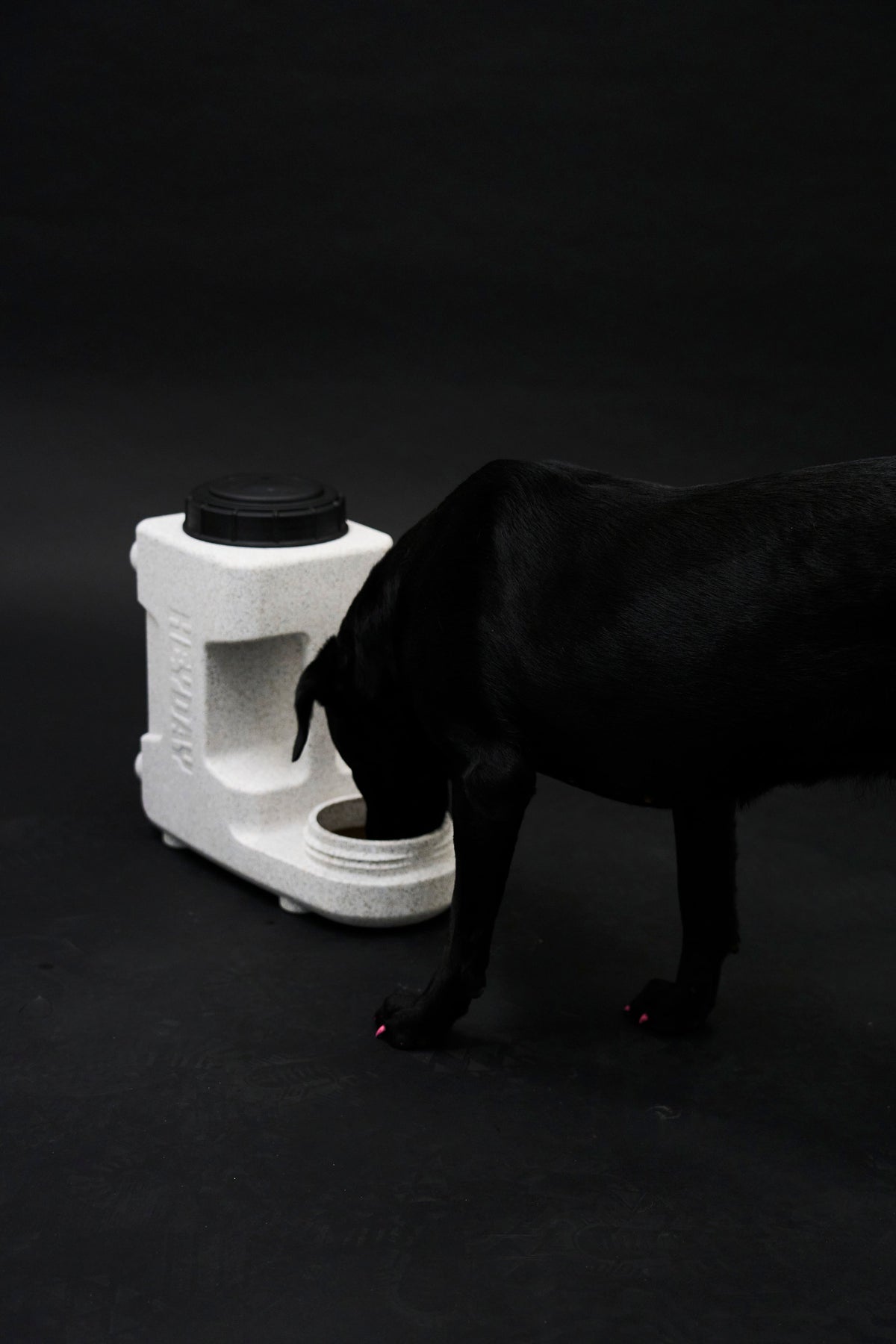 Automatic Pet Waterer product image 10