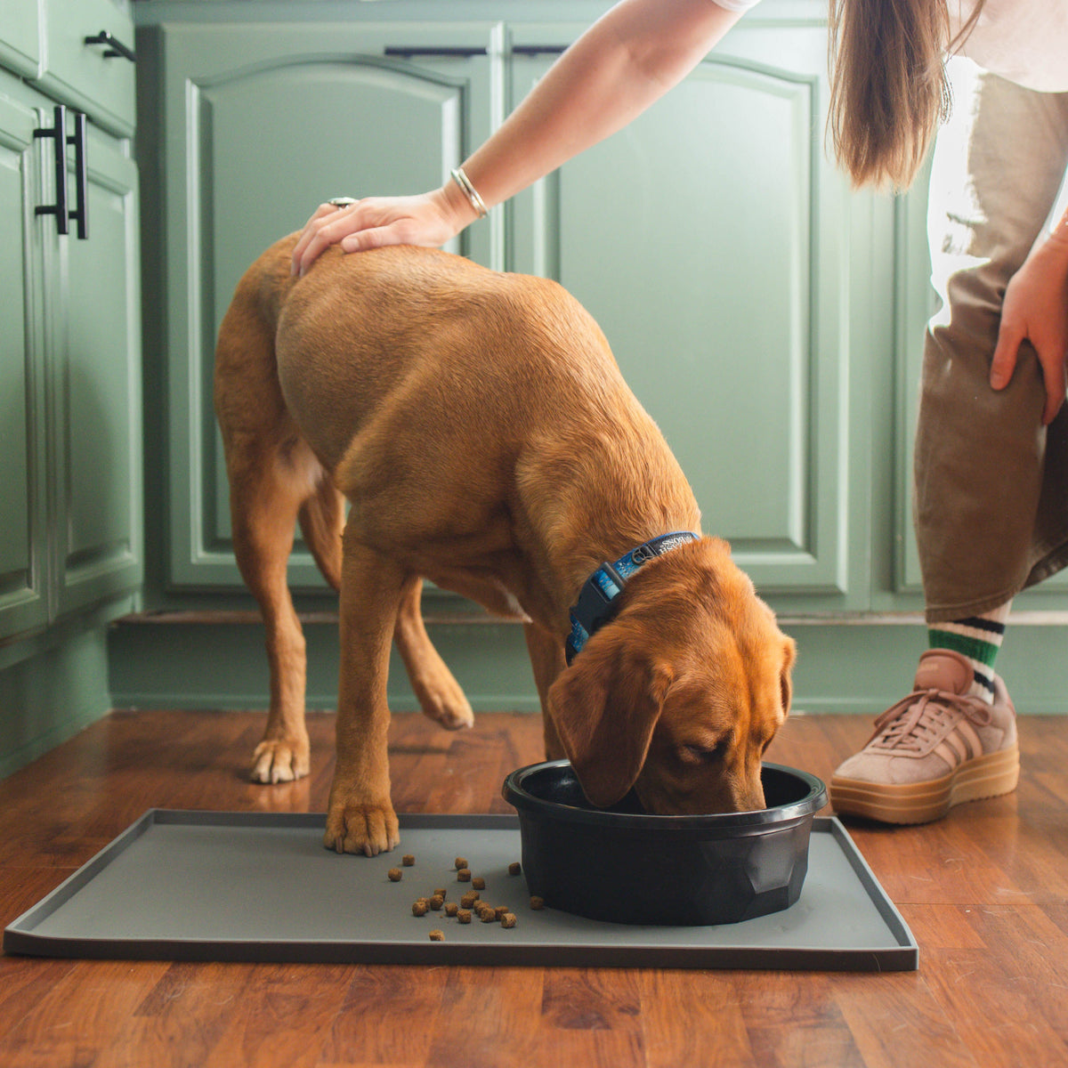 Silicone Dog Food Mat product image 2