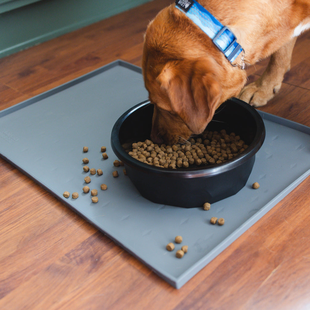 Silicone Dog Food Mat product image 3
