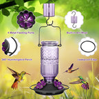 Glass Hummingbird Feeder product image 22