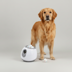 Automatic Dog Ball Launcher product image 5