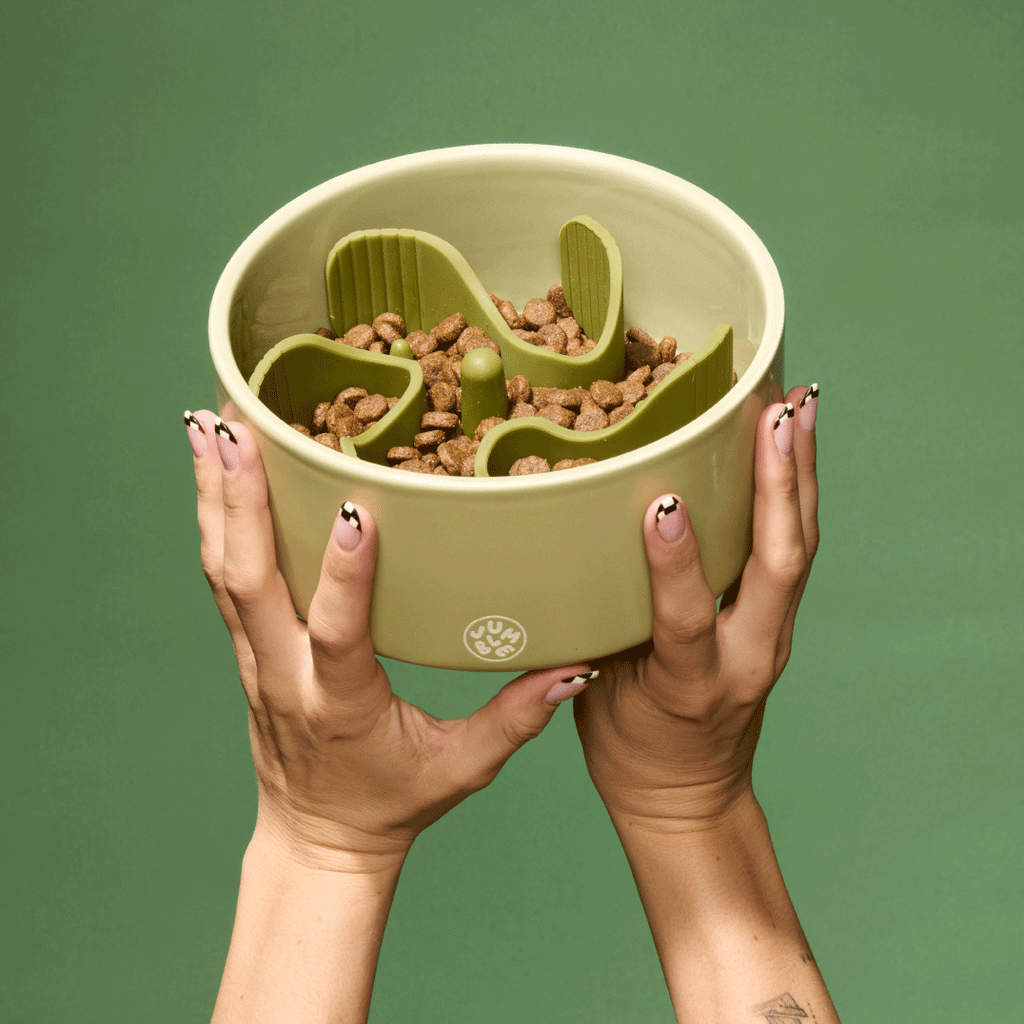 Slow Feeder Bowl product image 1