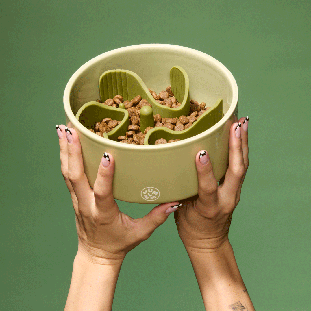 Slow Feeder Bowl product image 1