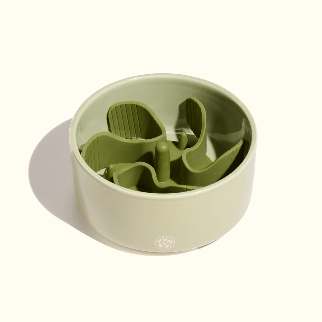 Slow Feeder Bowl product image 2