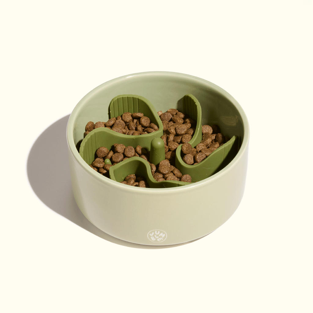 Slow Feeder Bowl product image 3