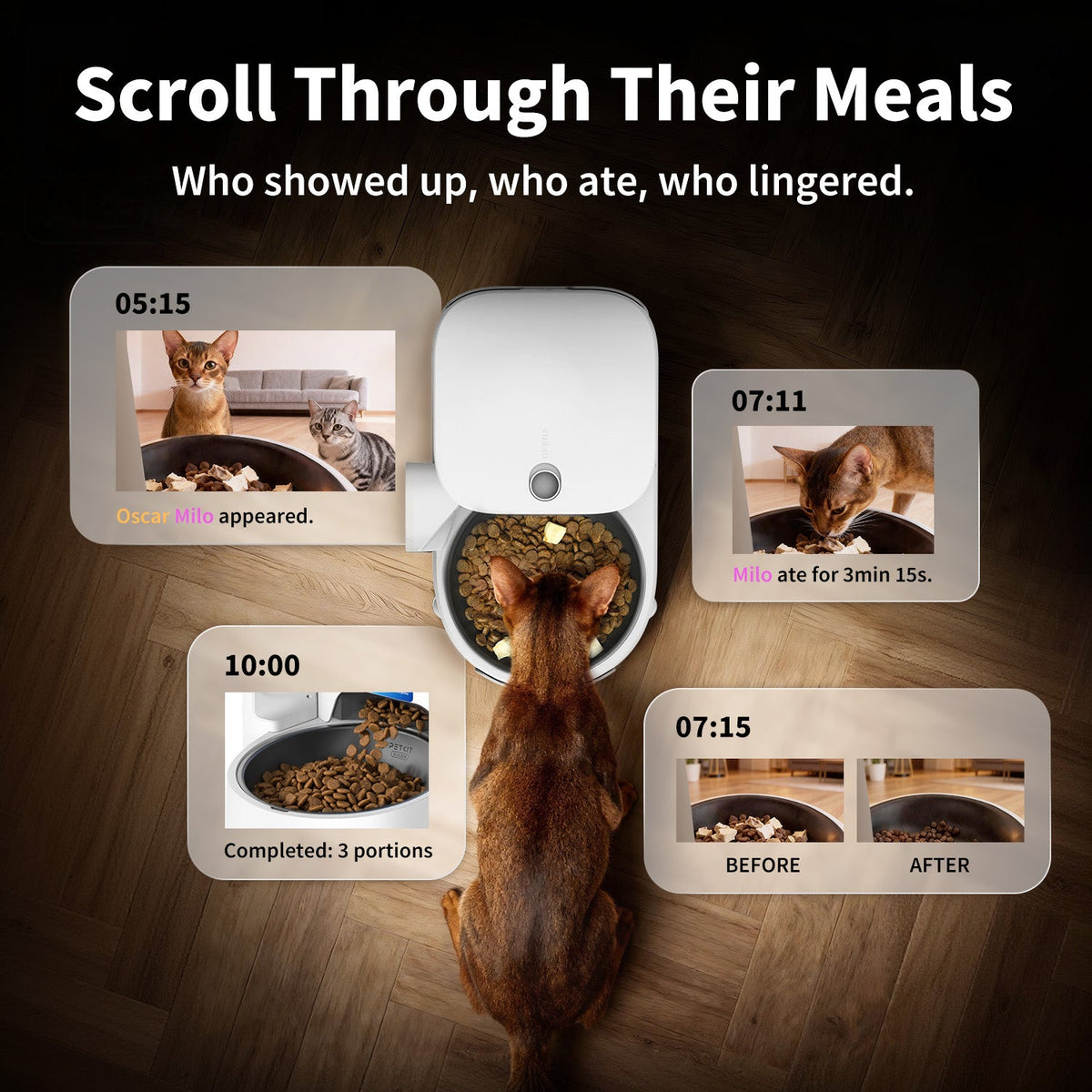Automatic Feeder product image 3