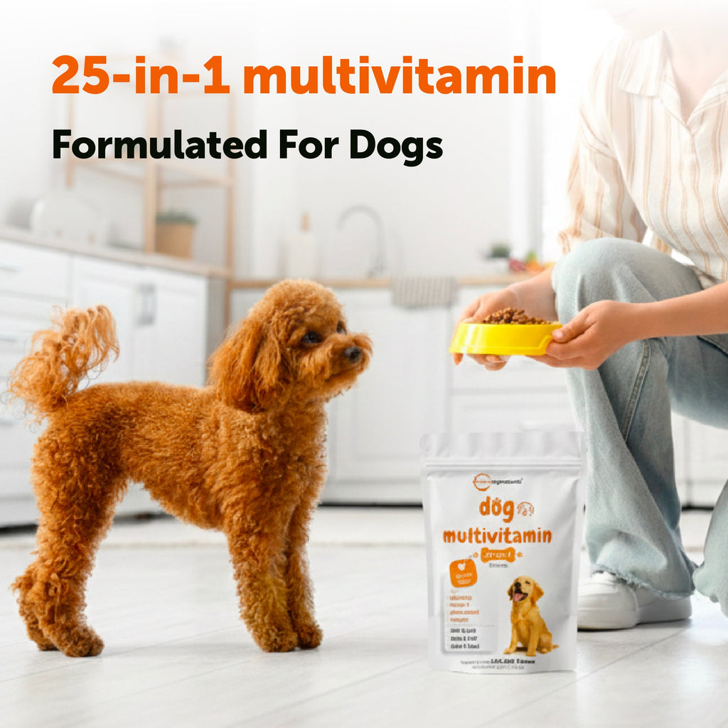 Dog Multivitamin Soft Chew product image 5