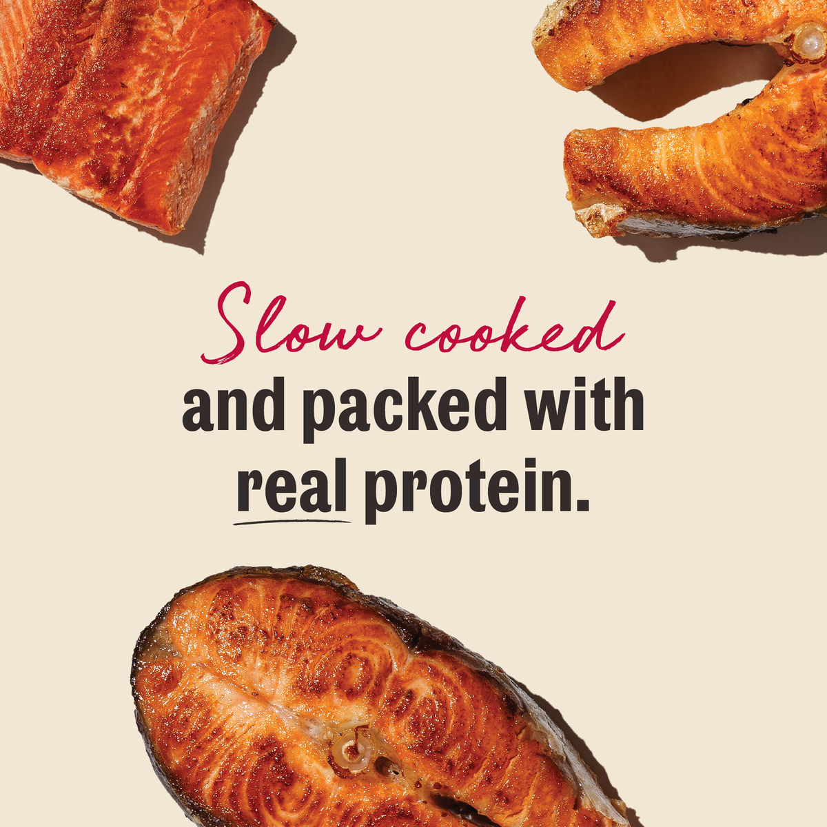 Salmon Dog Treats product image 2
