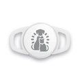 RFID Collar Tag product image 1