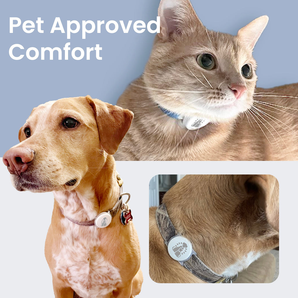 RFID Collar Tag product image 5